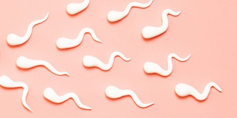 sperm