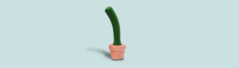 Kaktus dildo, który nie kłuje
